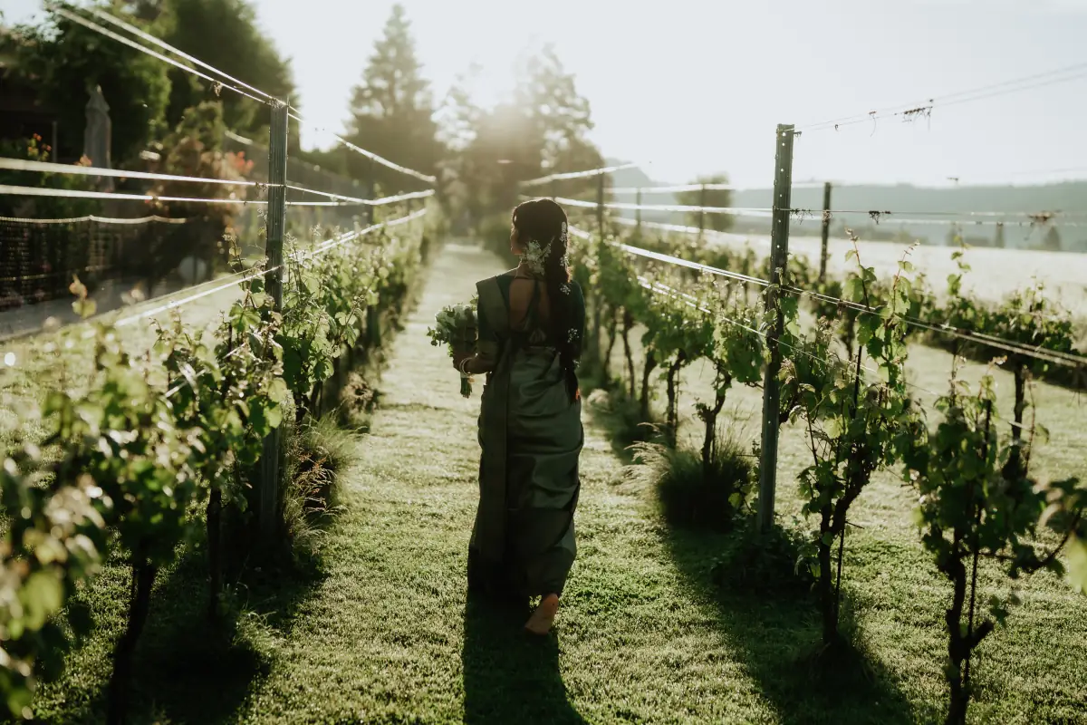 A guest walking through a vineyard at golden hour